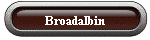 Broadalbin